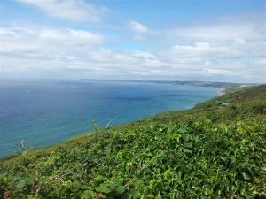 Part of the beautiful headland just round the corner from Looe.