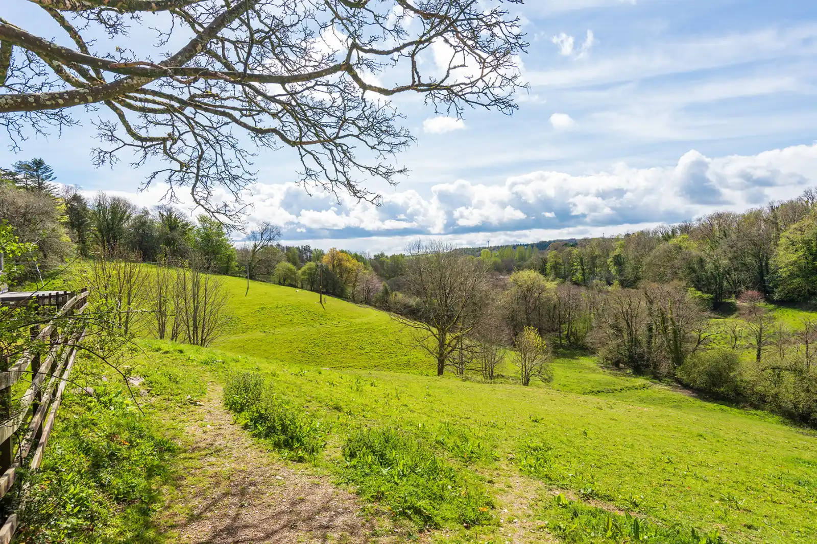 Property image 6 for THCOWL