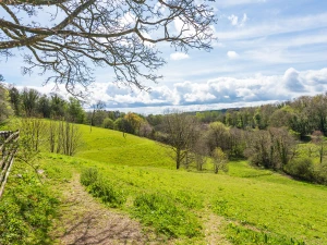 Beautiful grounds