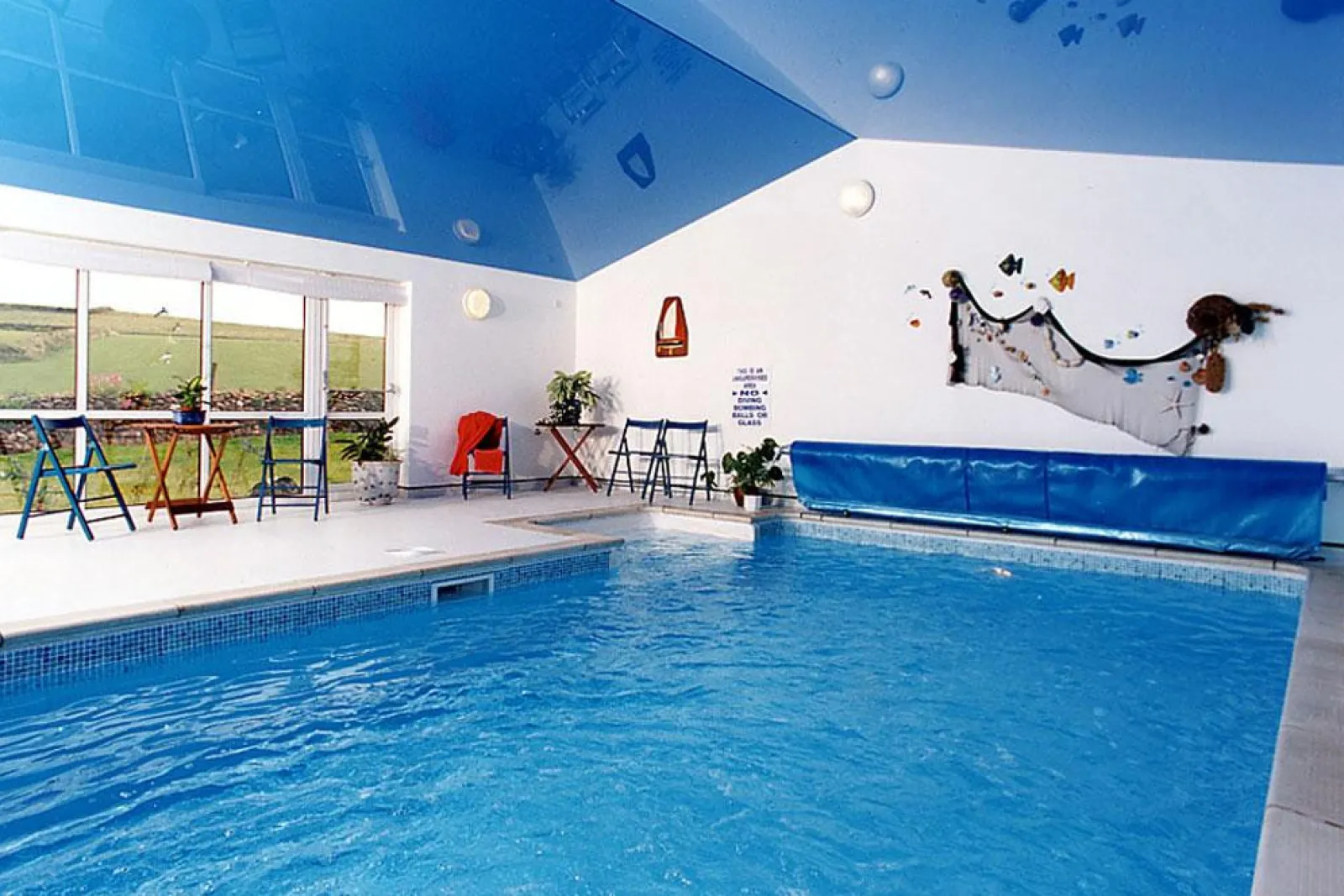 The swimming pool