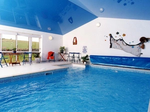 The swimming pool