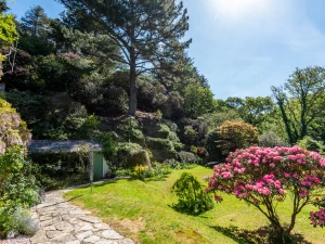 Stunning Garden