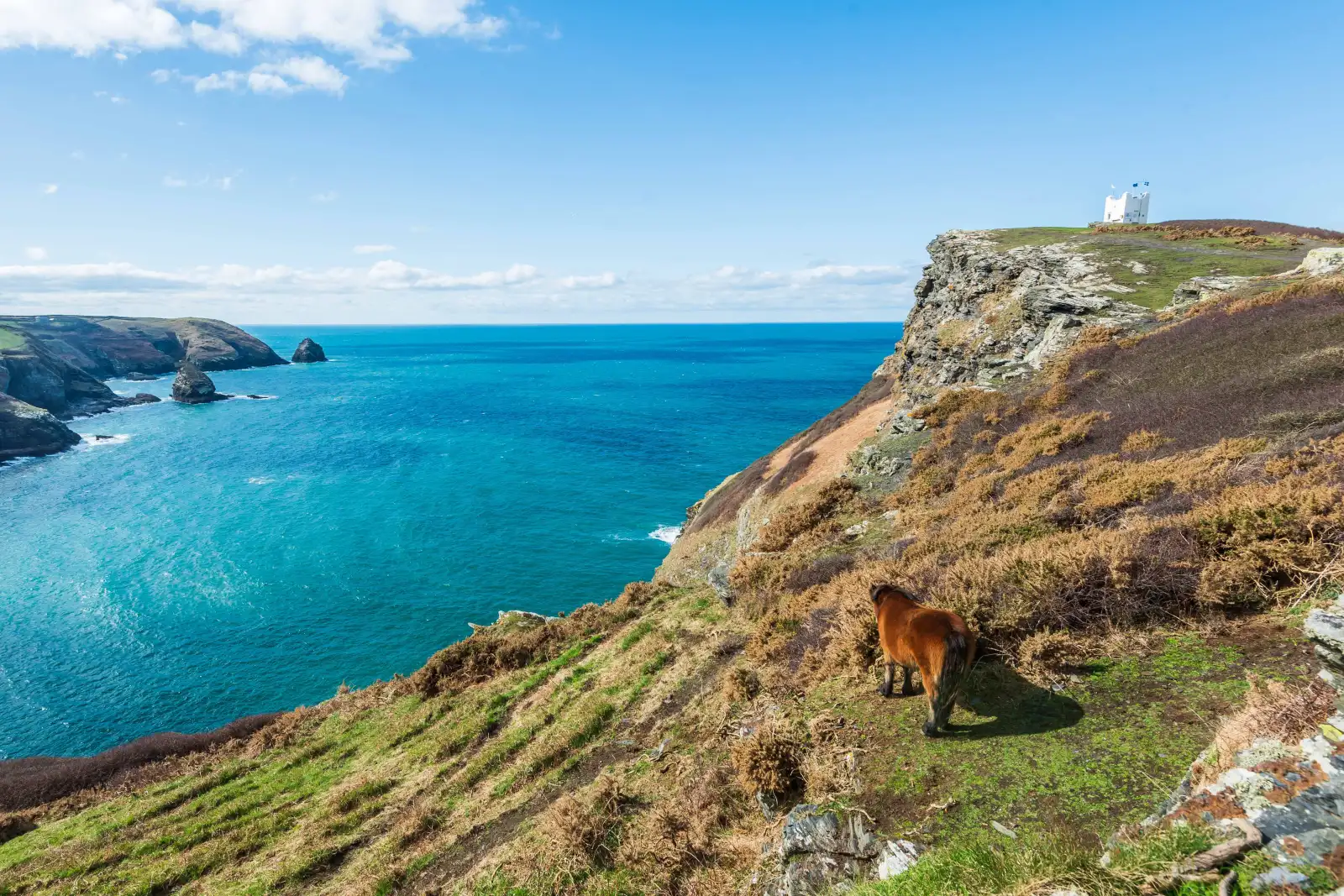 Property image 4 for THCSUNSET