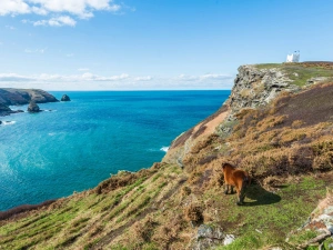 Property image 4 for THCSUNSET