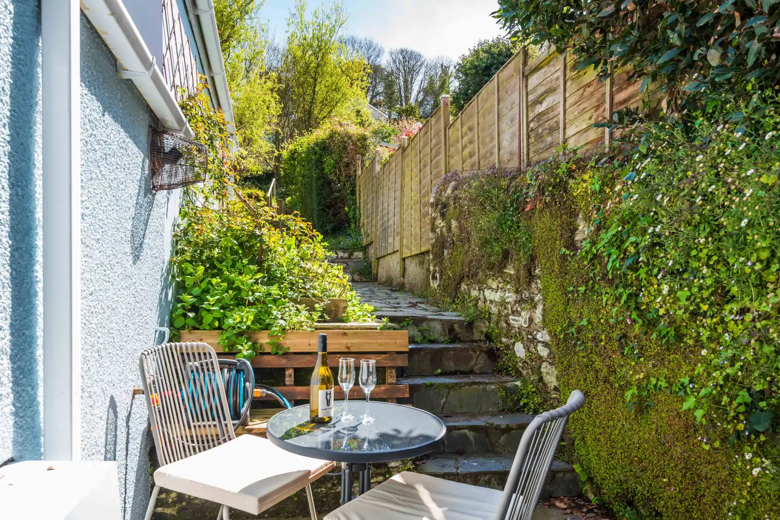 The sunny garden 