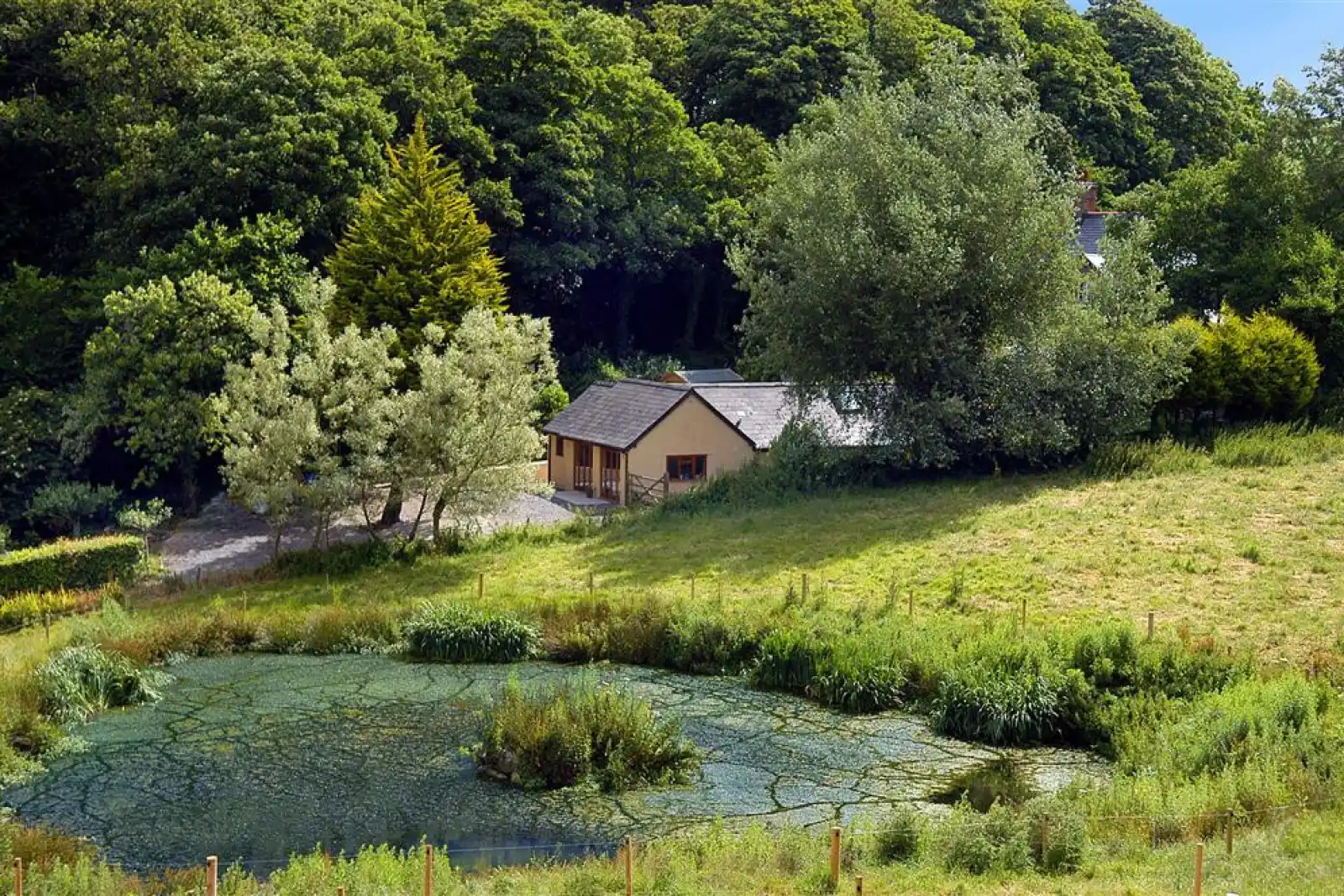 Woodpecker Cottage, nestling in a quiet wooded valley.