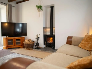 Sofa, TV on unit and wood burner