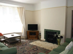Spacious living room with two sofas, coffee table, side table with lamp, bookcase, TV and fireplace with a fireside rug