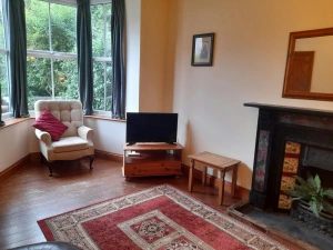 Fireplace with mantlepiece, mirror above, small flat screen tv on unit and leather armchair
