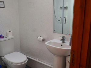 Shower room with wash basin with mirror above and toilet