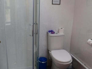 Shower room with corner shower and toilet