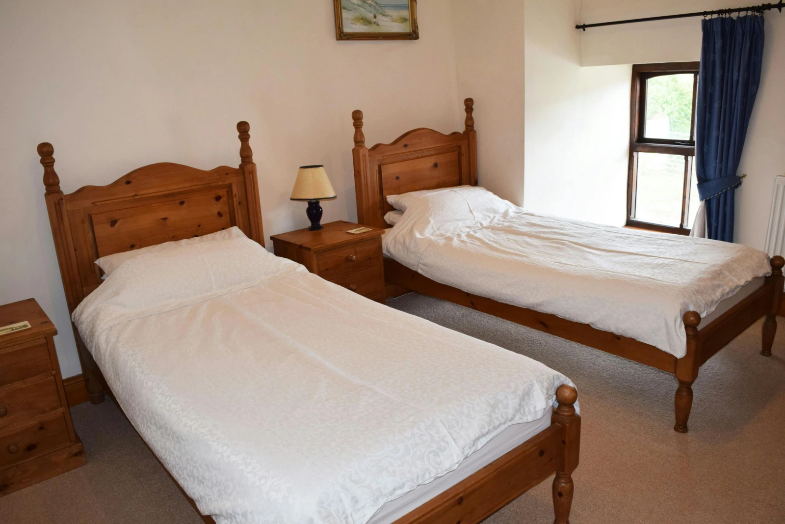 Twin single beds and bedside drawers with lamps