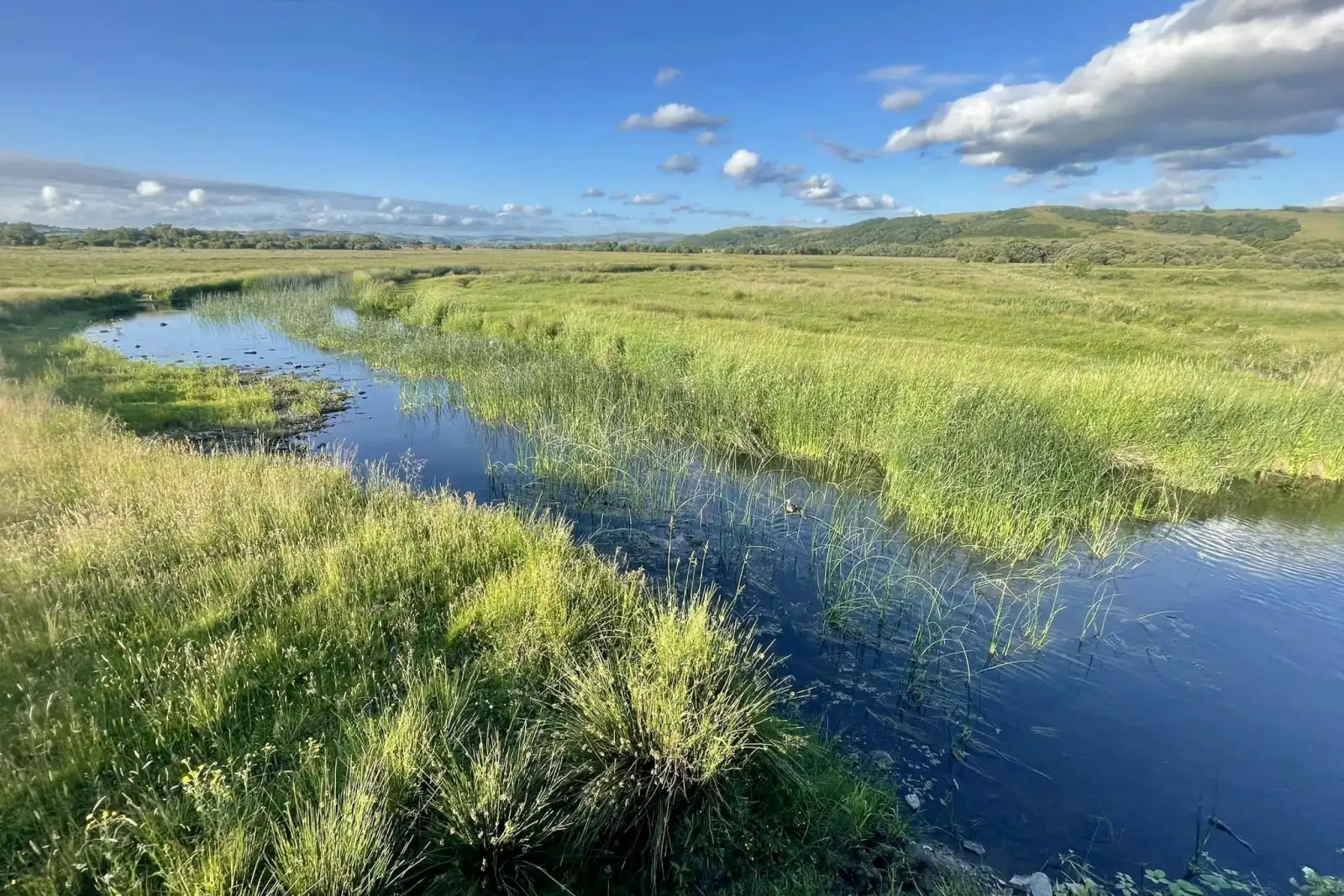 Teifi Pools