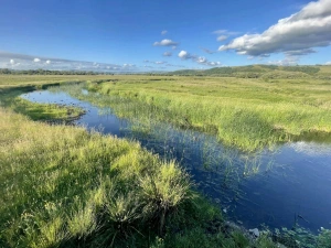 Teifi Pools
