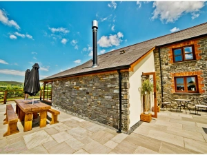 Llwyn Teifi