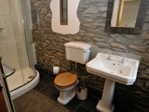 Downstairs en suite shower room: shower cubicle, wash basin with mirror above and WC