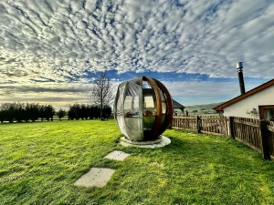 Garden at Llwyn Teifi showing seating pod