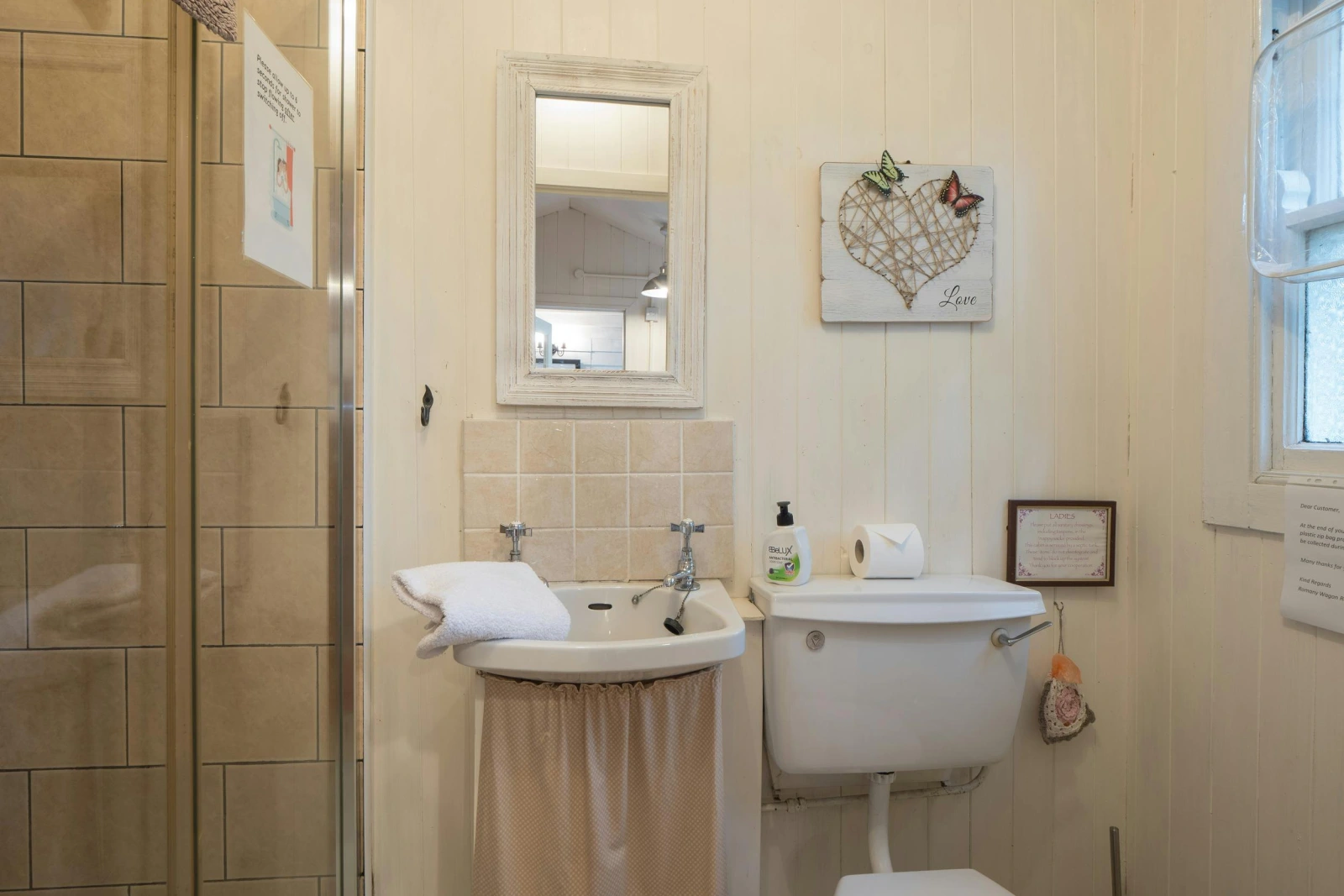 Walk in shower, wash basin with mirror above and toilet