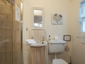 Walk in shower, wash basin with mirror above and toilet