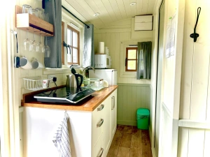 Kitchen with small hob, sink, kettle, fridge/freezer, microwave, various utensils and windows