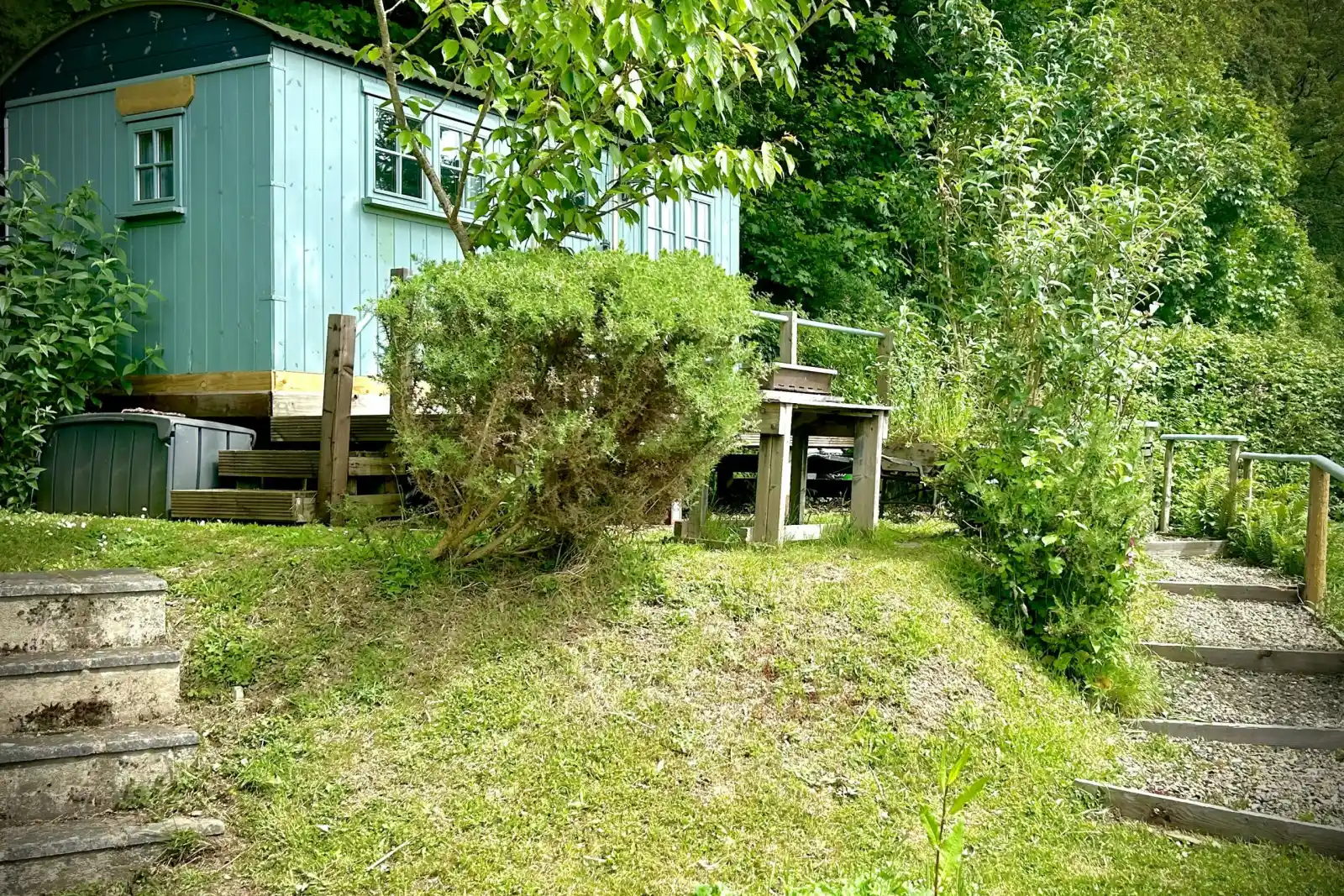 Small green cabin with steps and shrubs in front