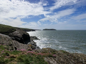 View along Ceredigion Coast towards Cardigan Island