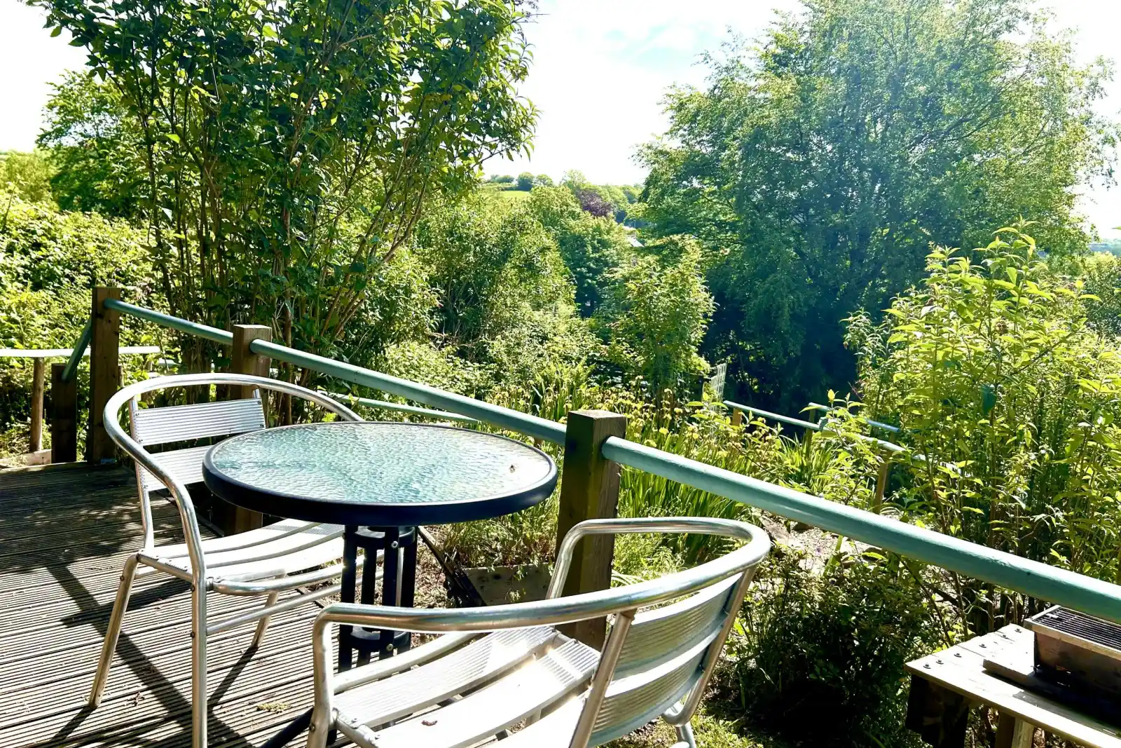 Patio with metal chairs and round glass table overlooking dense green trees