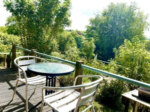 Patio with metal chairs and round glass table overlooking dense green trees