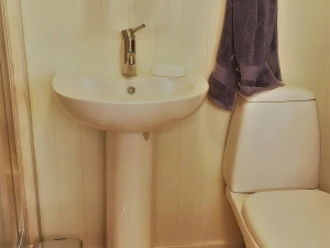 Shower room with toilet, washbasin, bin and towel