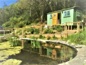 Pond in front of The Shepherds Hut