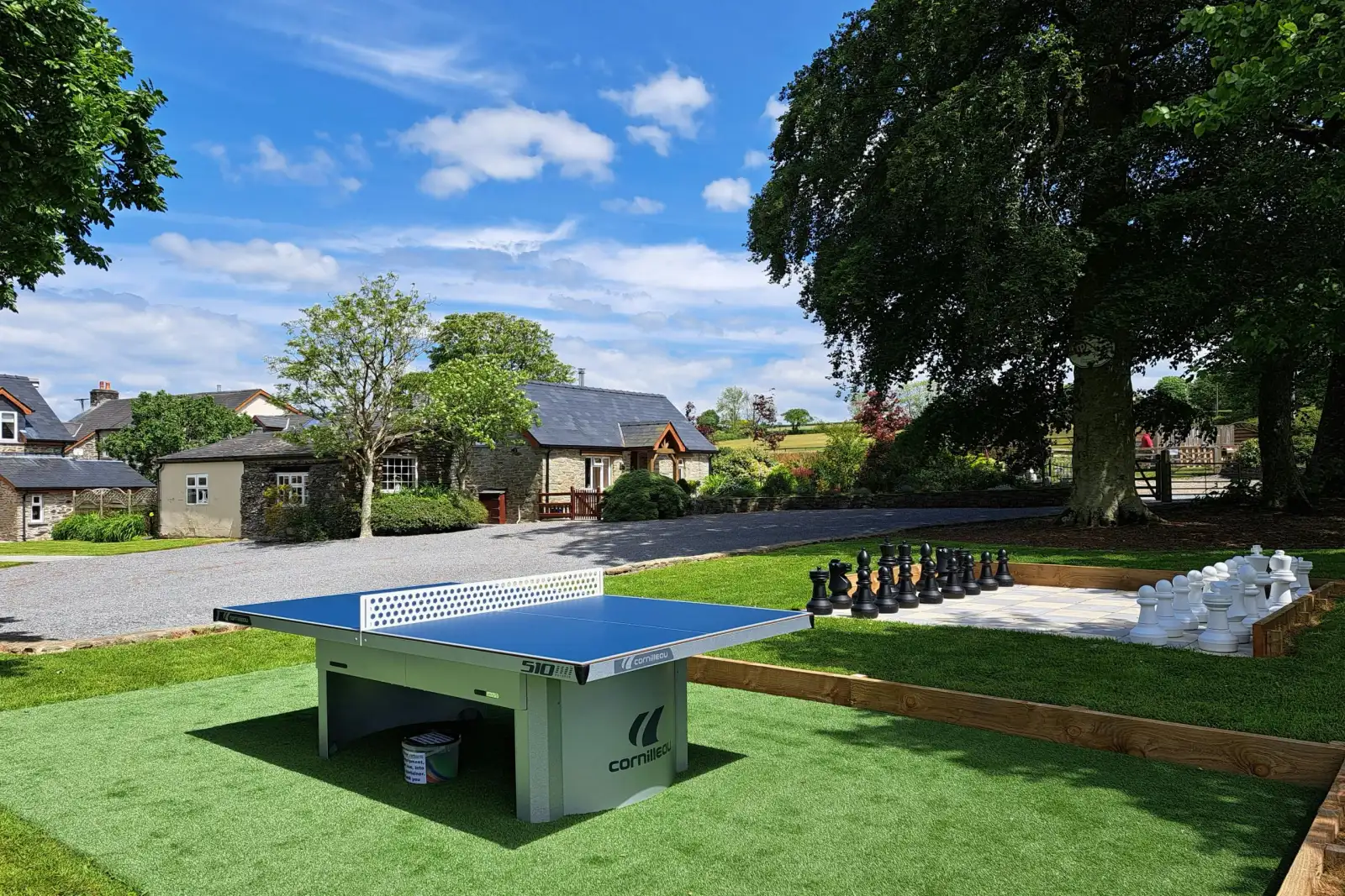 Table tennis game in the shared garden