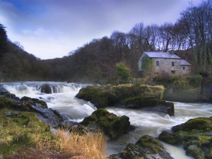 Waterfalls and rapids at Cenarth