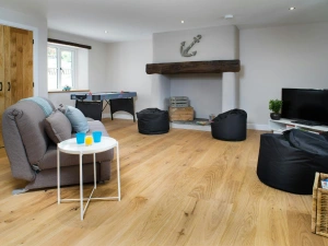 Games room with fireplace, beanbags, tv, sofa bed and coffee table
