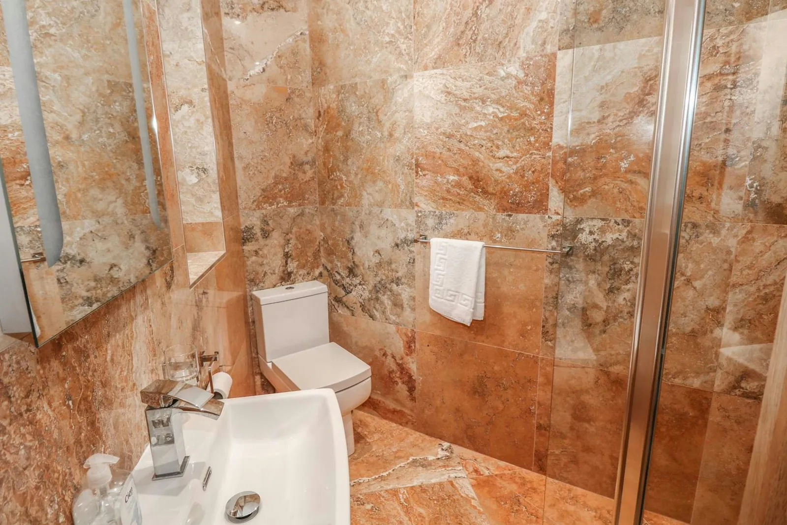 Toilet and hand basin in the ground floor en suite in Harmon Vale