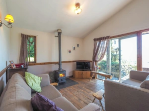 Living area with sofas, log burner, tv, doors to garden
