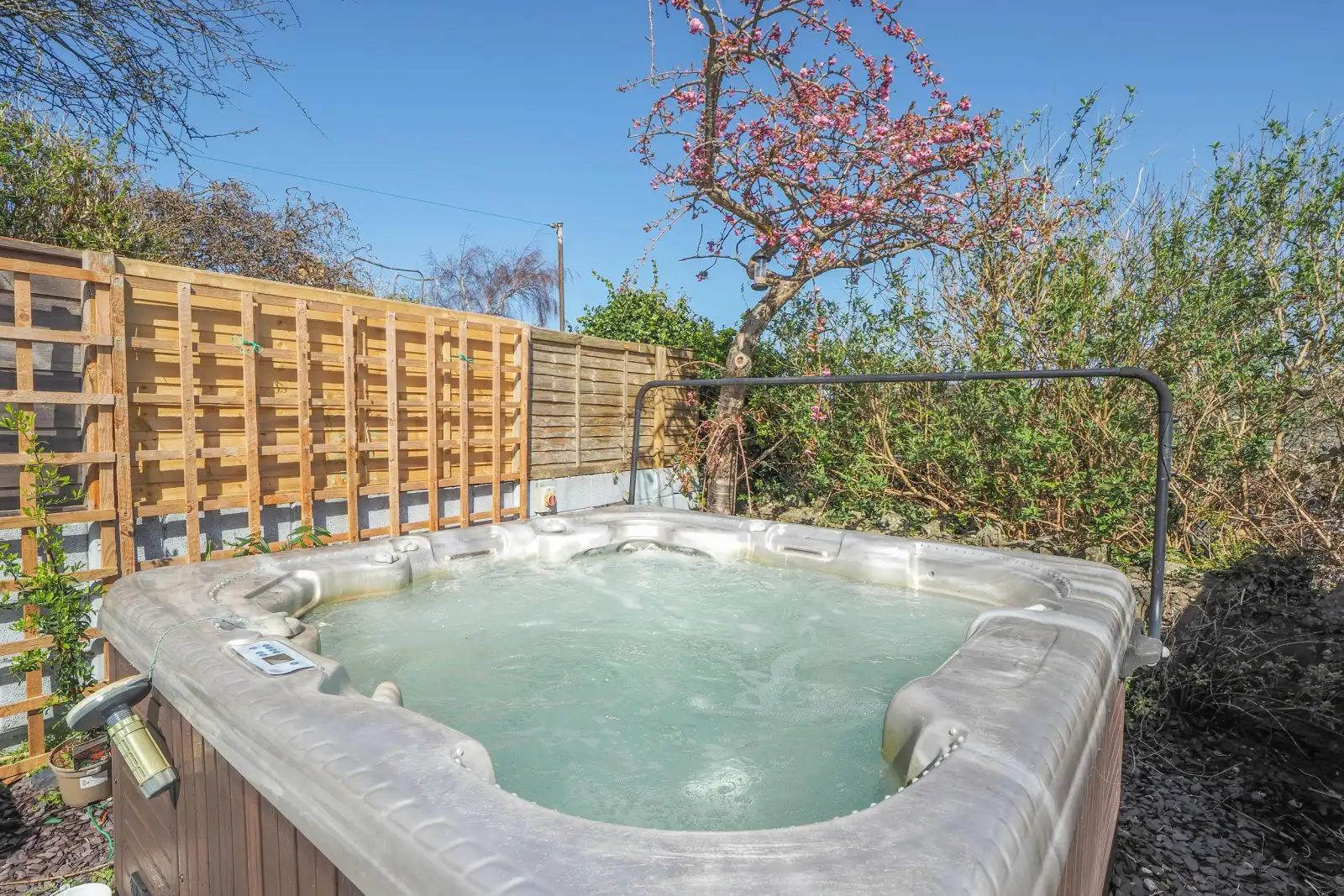 The hot tub, bushes and small tree