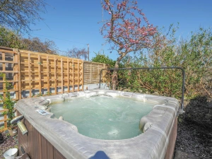 The hot tub, bushes and small tree