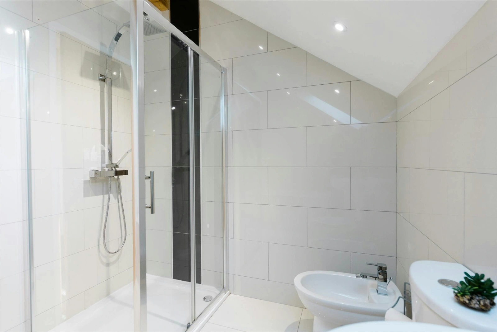 Shower enclosure, hand basin and bidet
