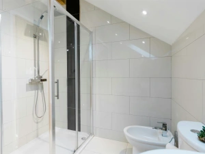 Shower enclosure, hand basin and bidet