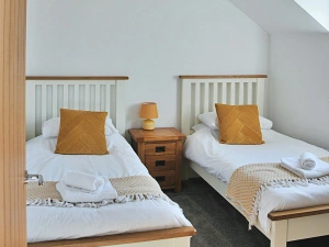 Twin beds with cushions and throws