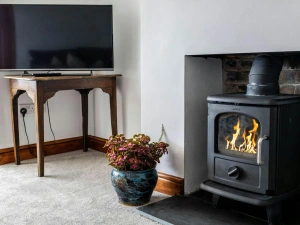 Wood burner with fire lit, tv