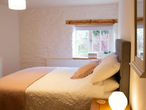 Bedside tables and lamps. Wall mounted mirror. Window with views of the garden