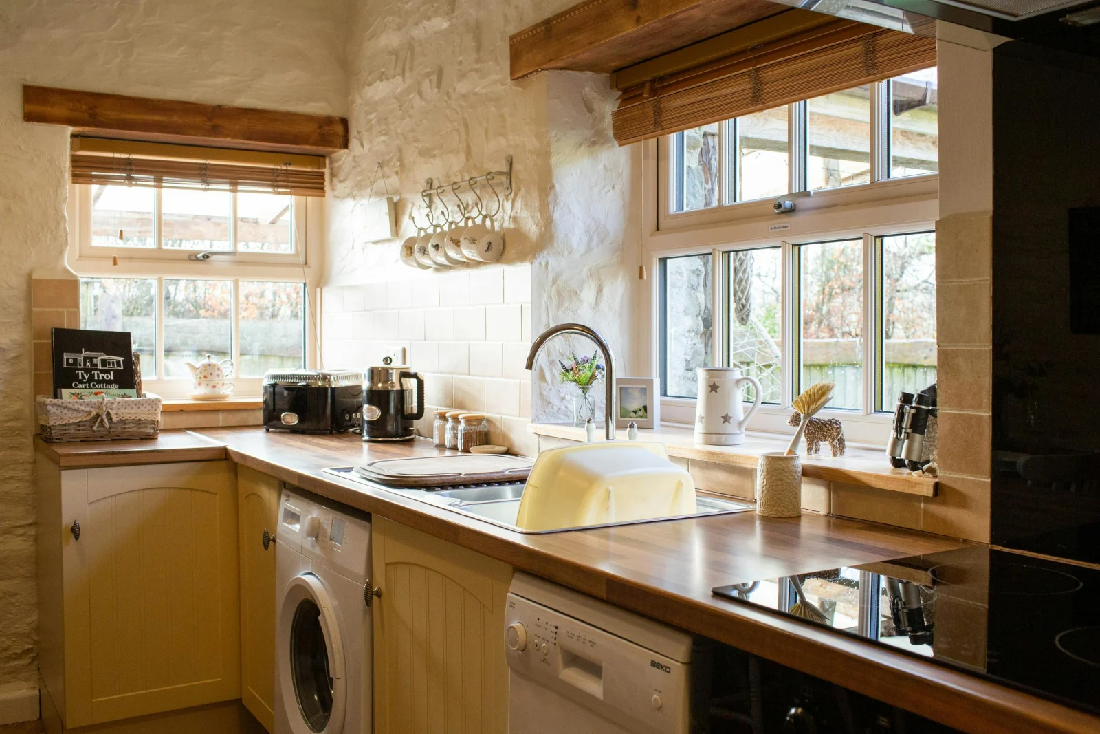 Two windows overlooking the garden