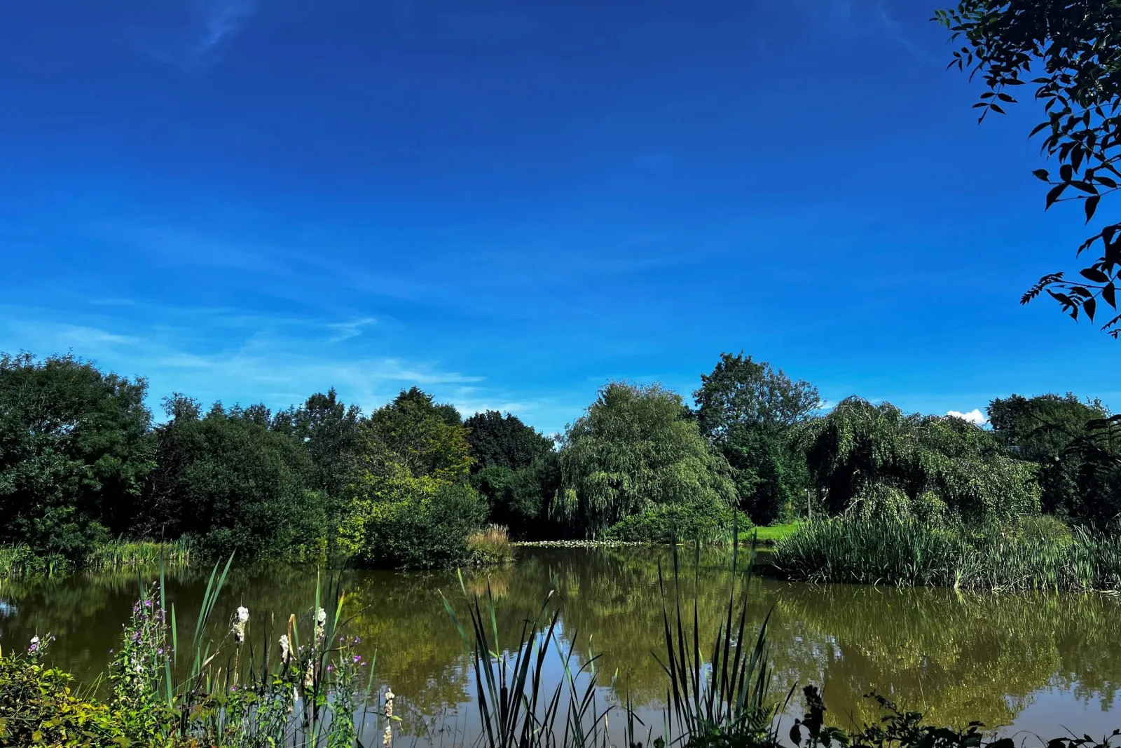 Views over the lake