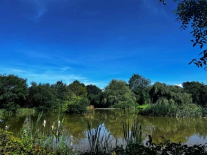 Views over the lake