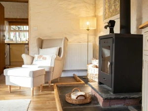 Wood burner with basket of logs. Floor lamp