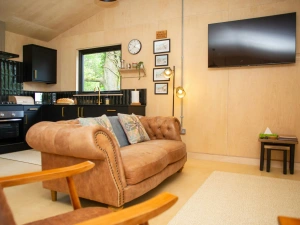 Sitting area with brown Chesterfield style sofa and wall  mounted TV