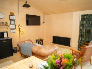 Sitting area with wall lights, wall mounted TV and radiator