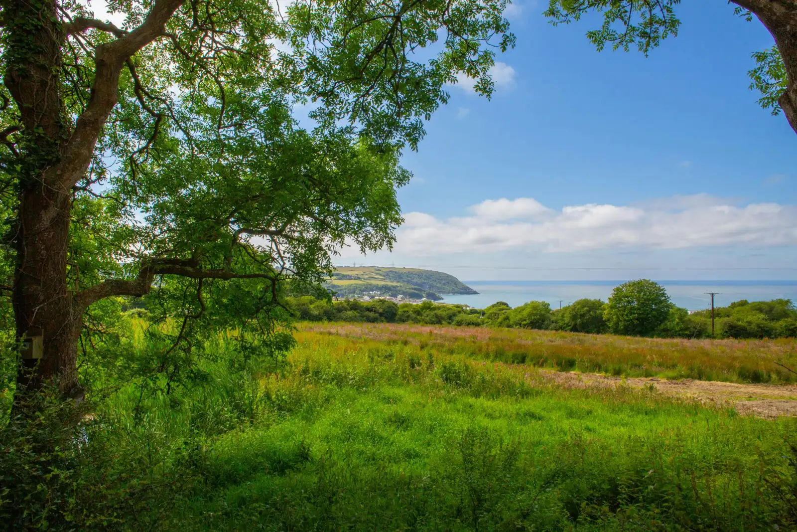 Views from the terrace to the sea in the distance