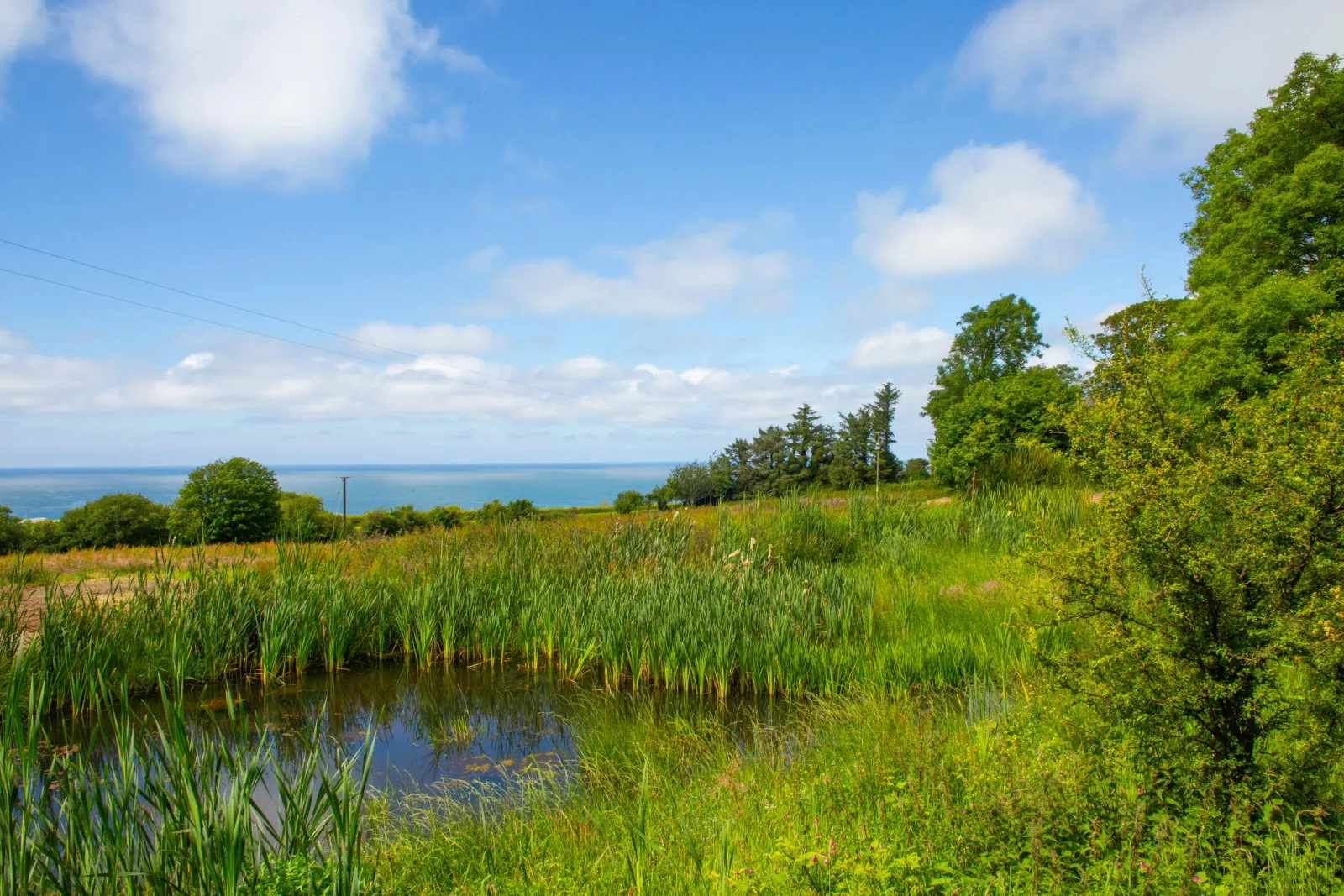 View over the pond and sea views in the disctance